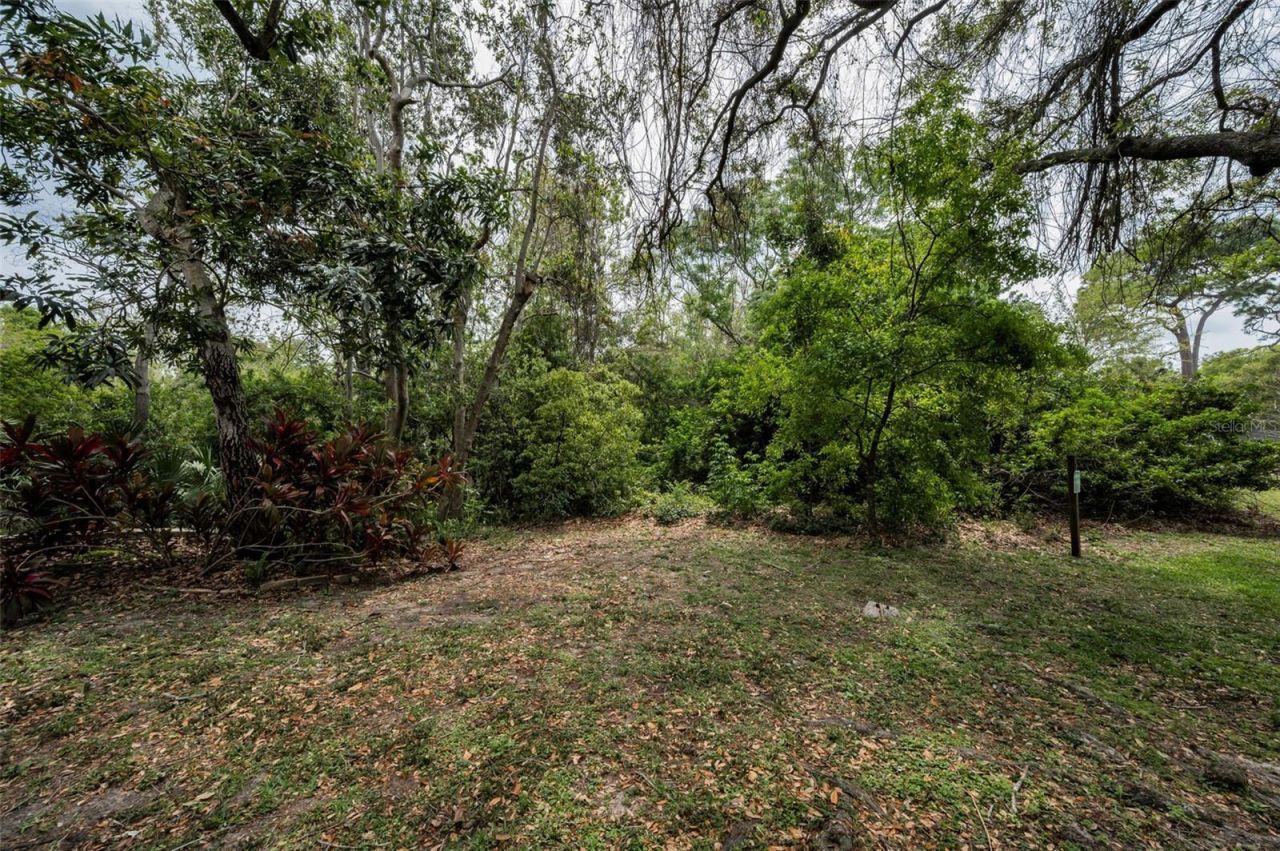 2997 Eagle Estates Circle E, Clearwater, FL 33761 Photo