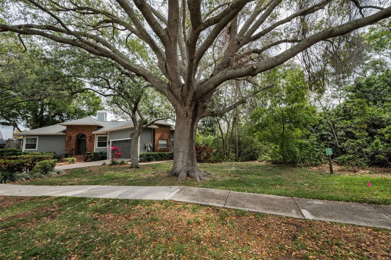 2997 Eagle Estates Circle E, Clearwater, FL 33761 Photo