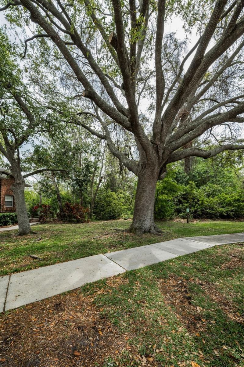 2997 Eagle Estates Circle E, Clearwater, FL 33761 Photo