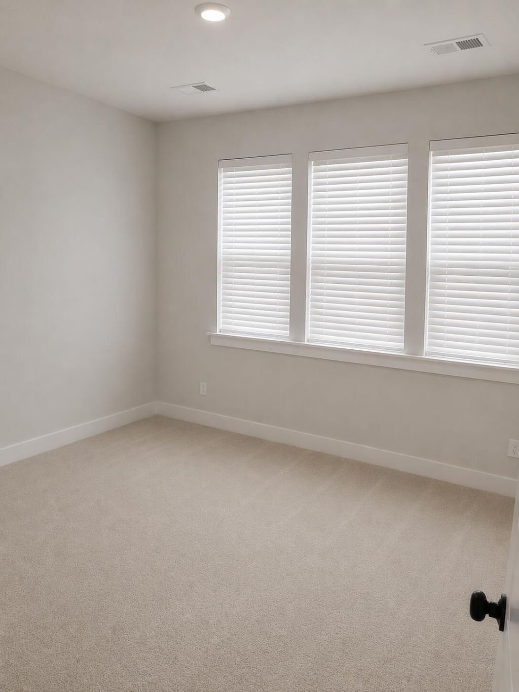 277 Denham Street Photo 18