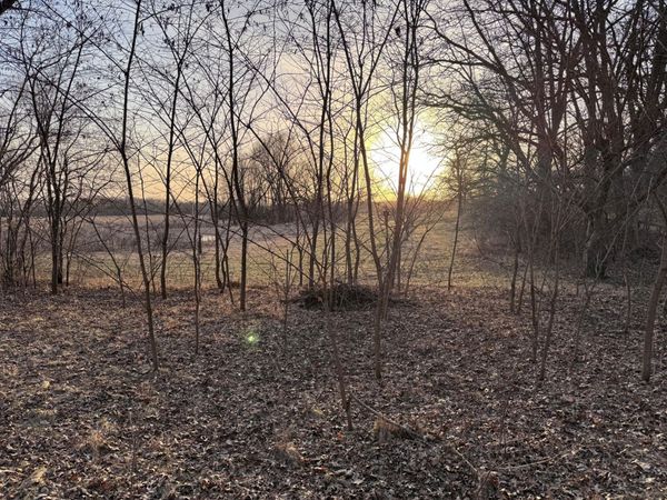 491 Highland Avenue, Big Lake, MN 55309