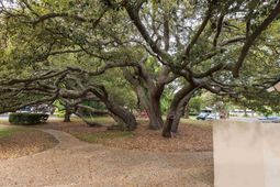 129 Hartland Dr. photo 4