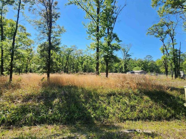 10235 W Deep Creek Blvd, Hastings, FL 32145