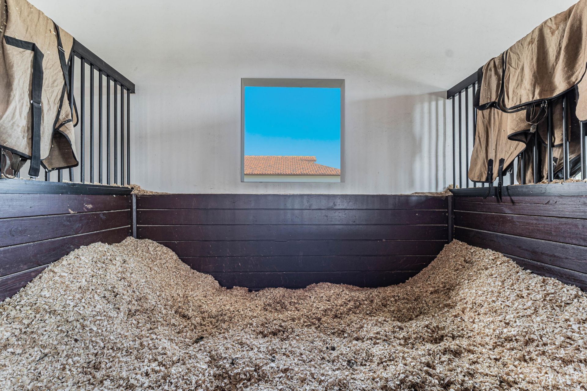 12223 50th Street S, Wellington, FL 33449 Photo