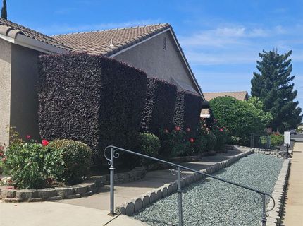 106 Ashley Pl, Lincoln, CA 95648 Photo
