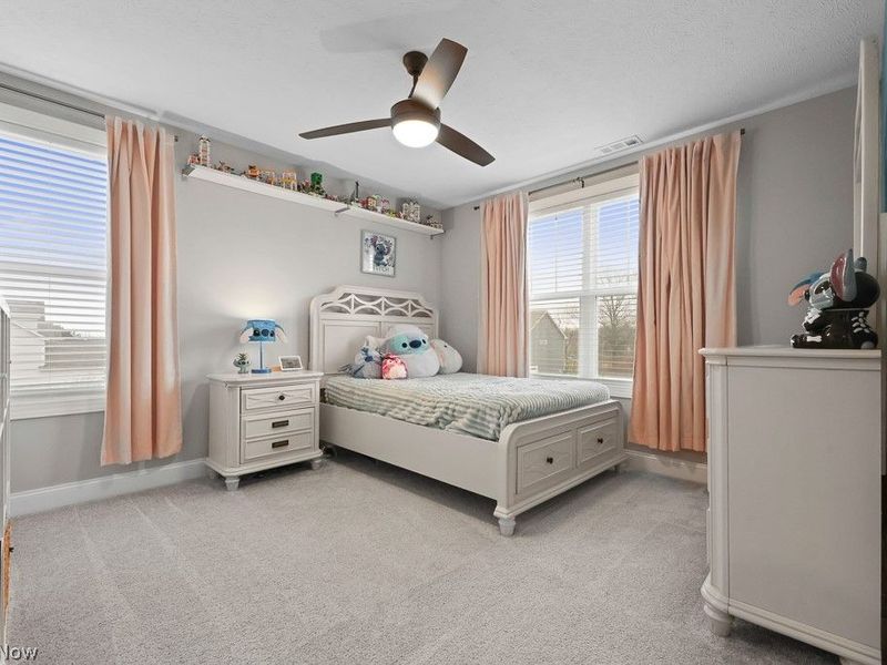 1316 Skyland Falls Boulevard, Hinckley, OH 44233 Photo 31