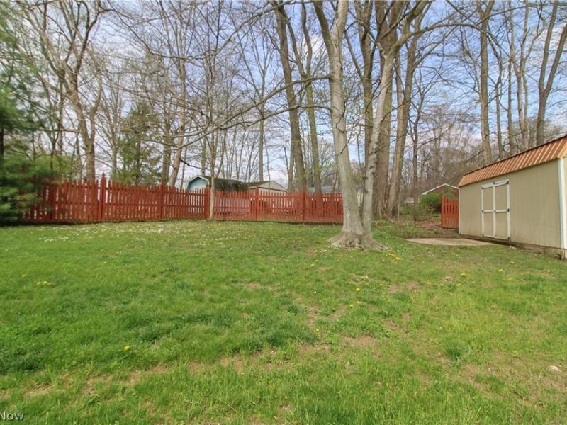 324 Neff Drive, Canfield, OH 44406 Photo 6