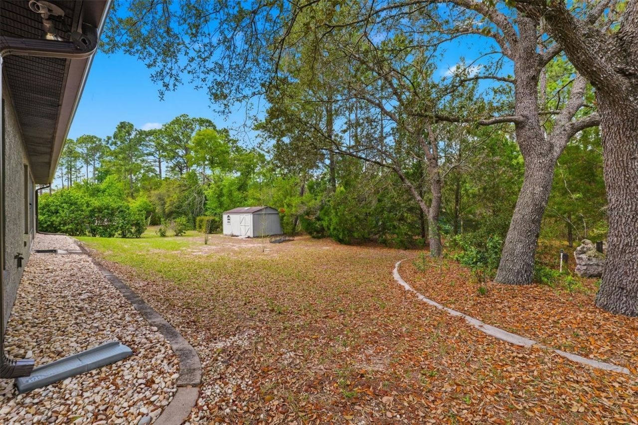 3339 W Eldridge Drive , Citrus Springs, FL 34433 Photo