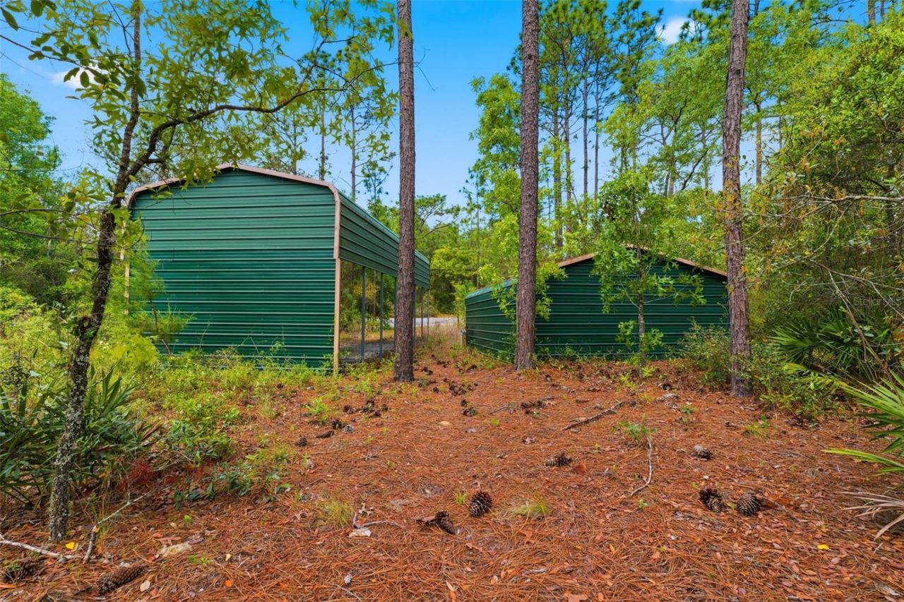 3339 W Eldridge Drive , Citrus Springs, FL 34433 Photo