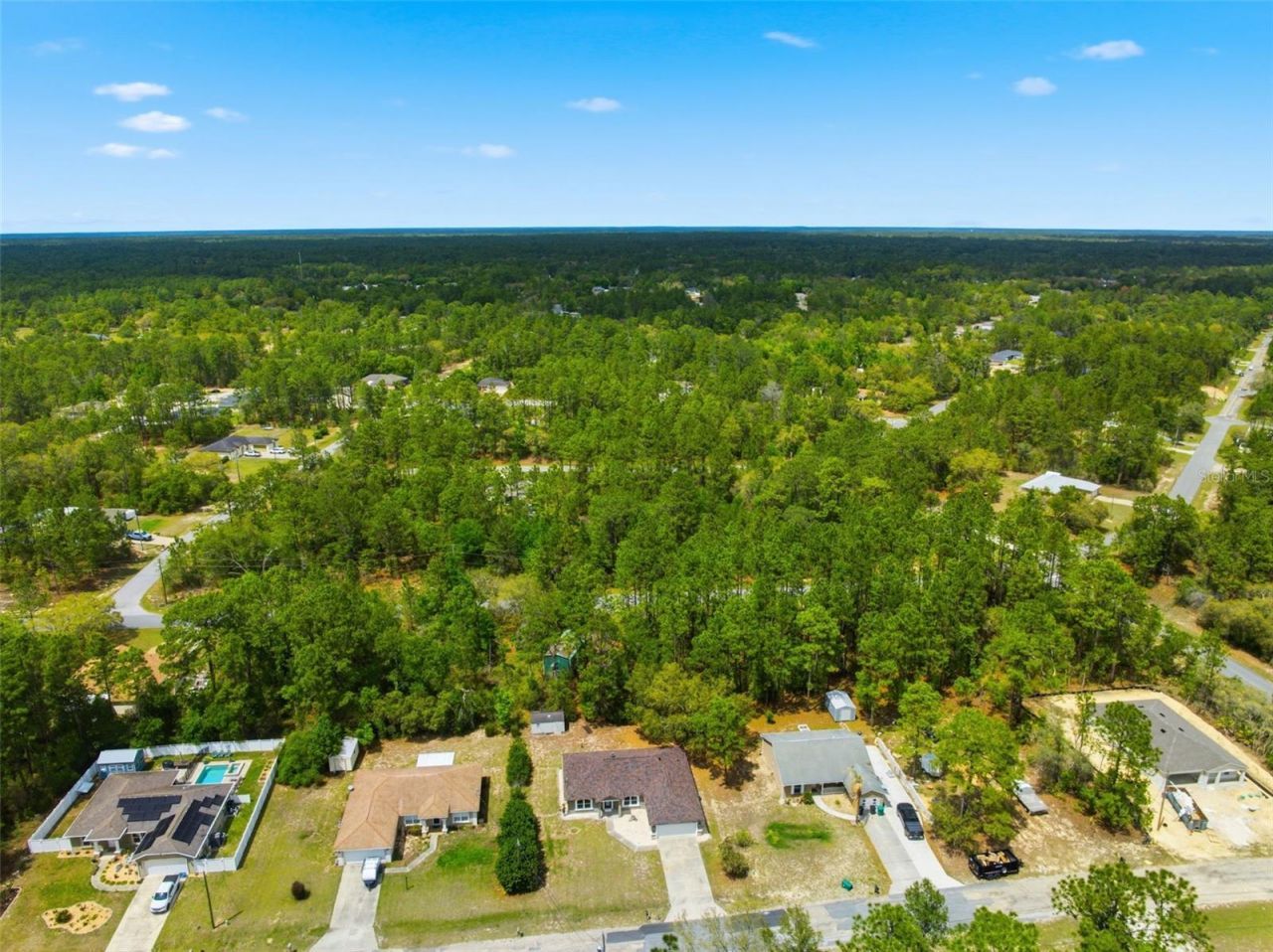 3339 W Eldridge Drive , Citrus Springs, FL 34433 Photo