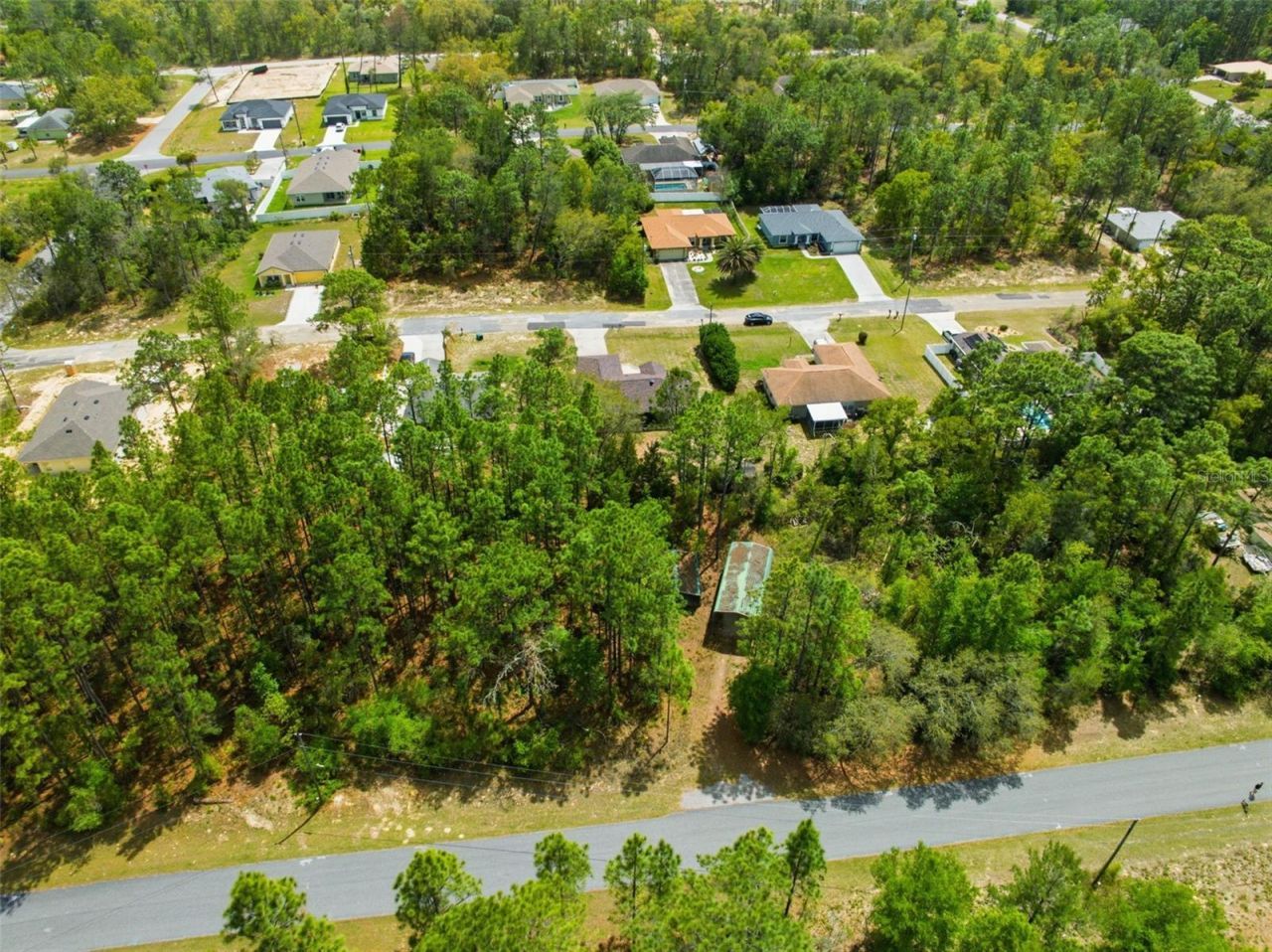 3339 W Eldridge Drive , Citrus Springs, FL 34433 Photo