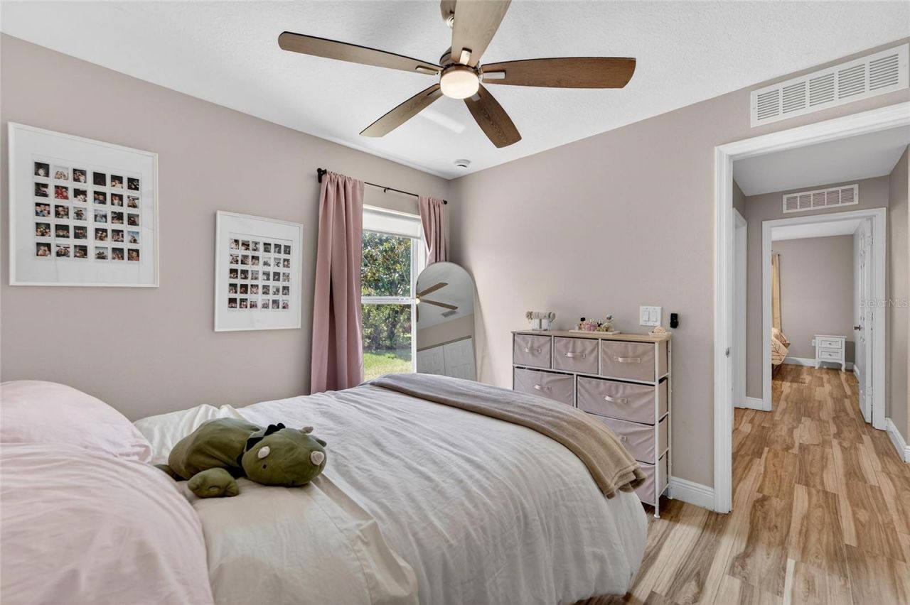 5325 Sandy Shell Drive, Apollo Beach, FL 33572 Photo