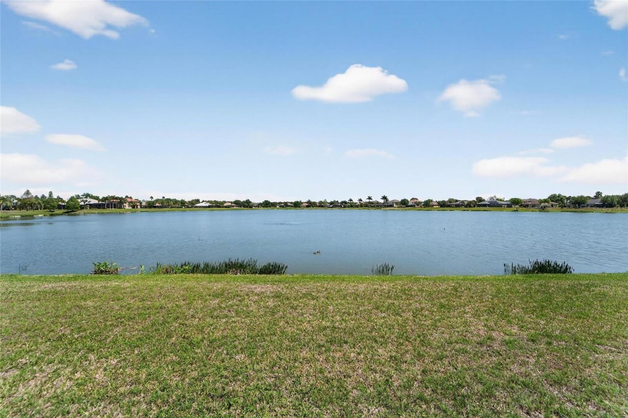 5325 Sandy Shell Drive, Apollo Beach, FL 33572 Photo