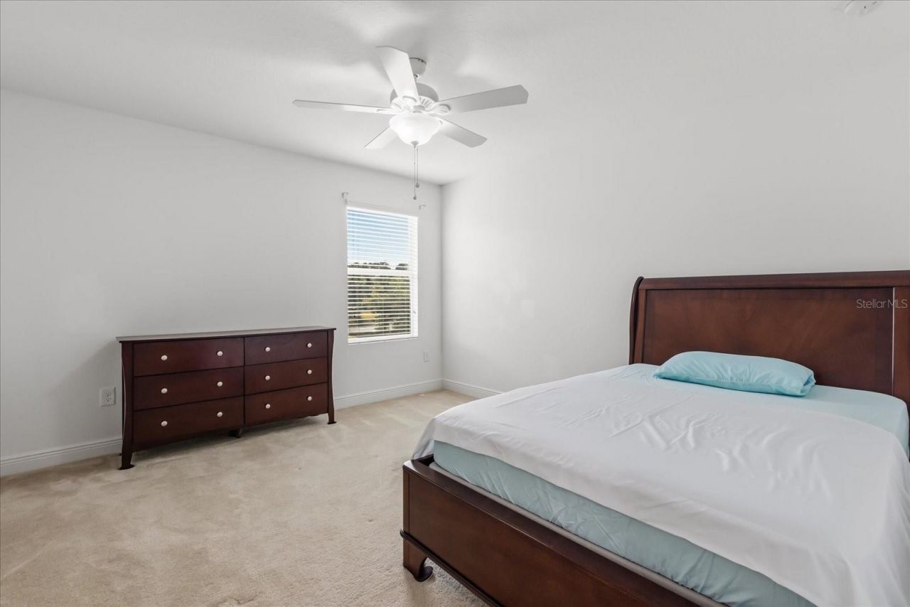 10536 Cabbage Tree Loop, Orlando, FL 32825 Photo