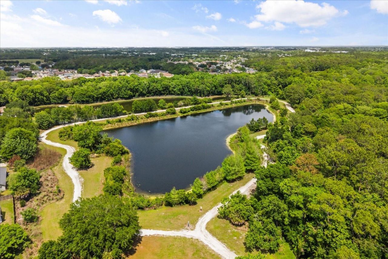 10536 Cabbage Tree Loop, Orlando, FL 32825 Photo