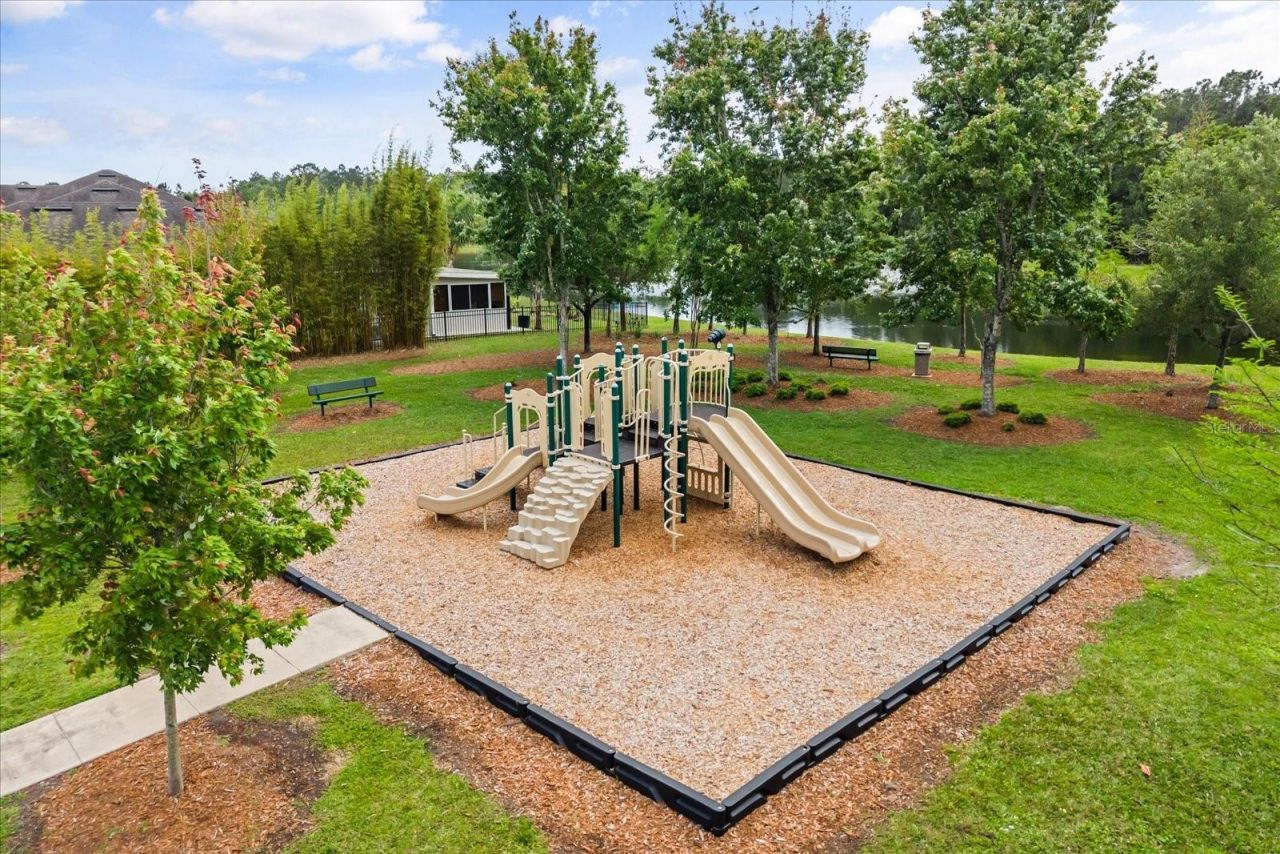 10536 Cabbage Tree Loop, Orlando, FL 32825 Photo