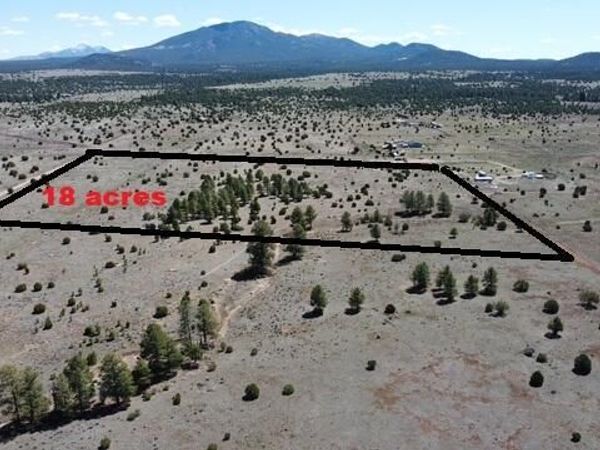 5303 N RED MOUNTAIN Road, Unit 3, Williams, AZ 86046