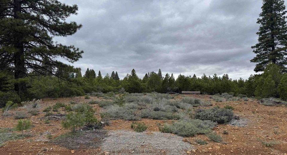 141 Village Drive , Lake Almanor, CA 96137 Photo