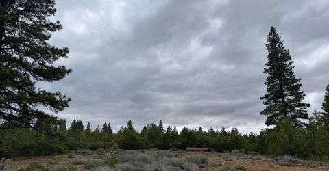 141 Village Drive , Lake Almanor, CA 96137 Photo