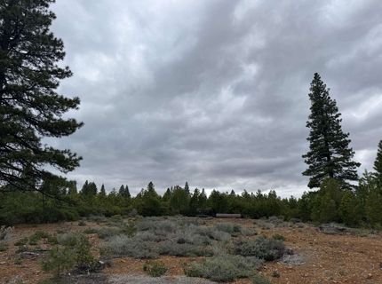 141 Village Drive , Lake Almanor, CA 96137 Photo