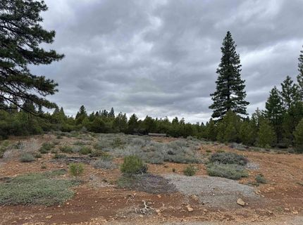 141 Village Drive , Lake Almanor, CA 96137 Photo