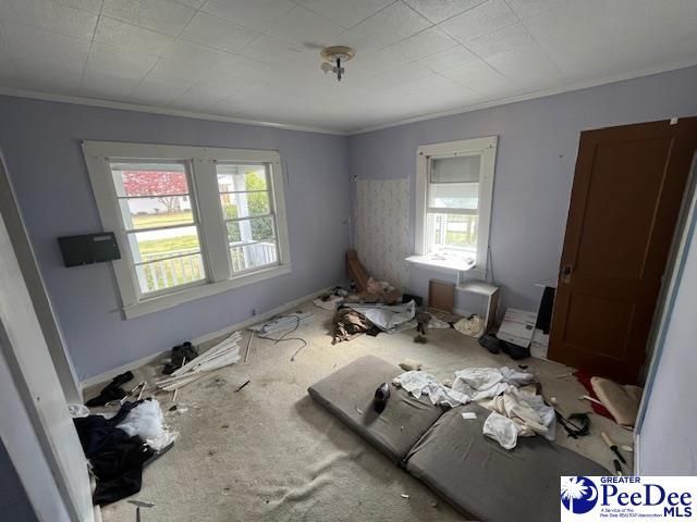 250 Syracuse Street Photo 9