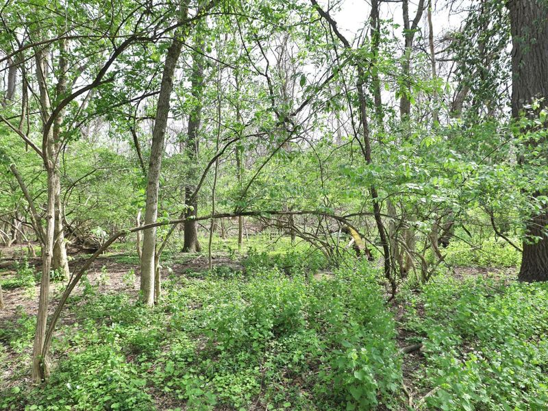 309 Melbourne Place, Worthington, OH 43085 Photo 55