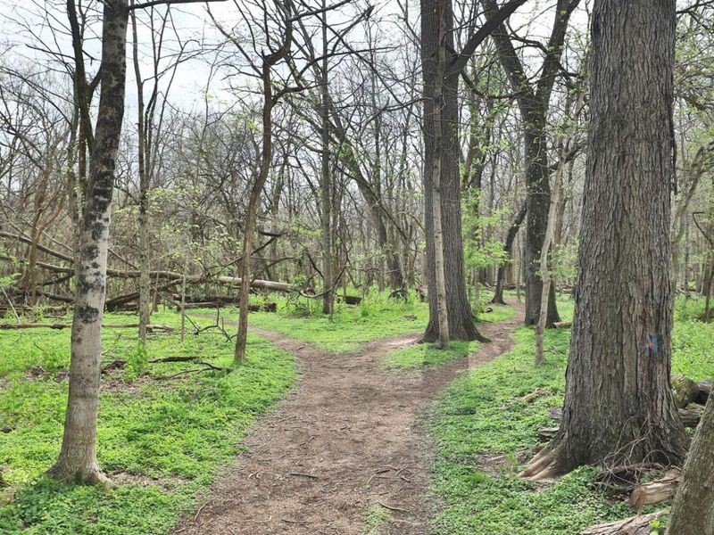 309 Melbourne Place, Worthington, OH 43085 Photo 56