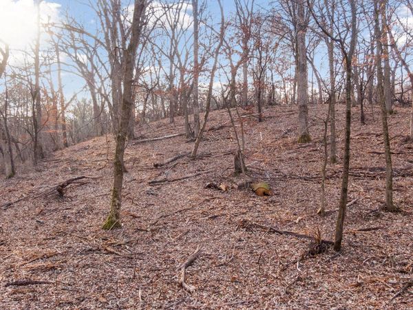 10700 68th Street Court S, Cottage Grove, MN 55016