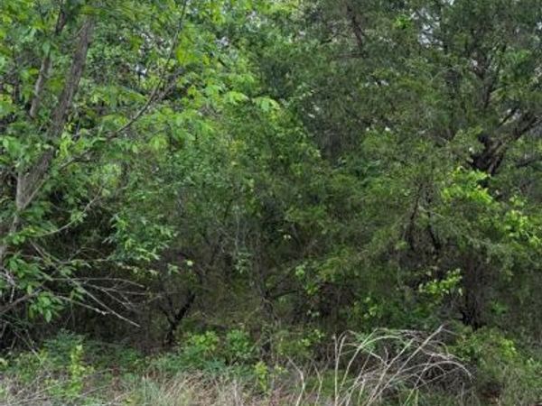 183rd Street, Lexington, OK 73051