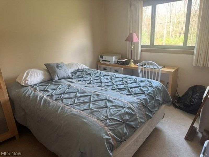 525 Brookpark, Canfield, OH 44406 Photo 9