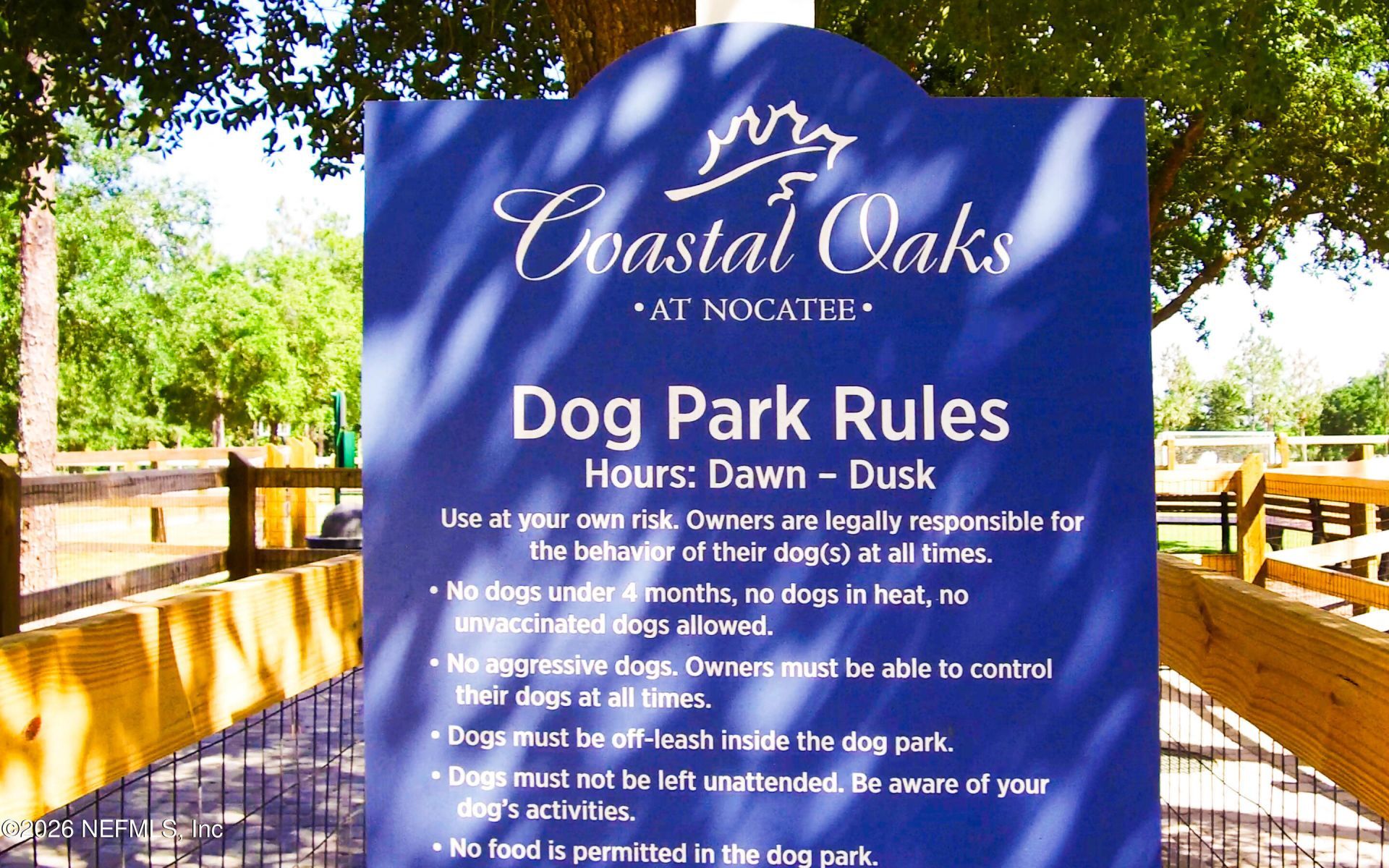 602 Old Bluff Drive, Ponte Vedra, FL 32081 Photo