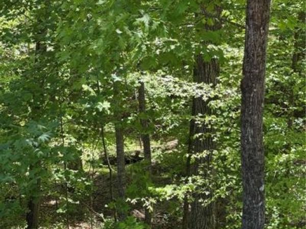 0 Clark Drive, Alpharetta, GA 30004