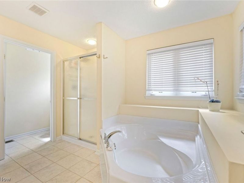 9308 Ashcroft Lane, Twinsburg, OH 44087 Photo 28