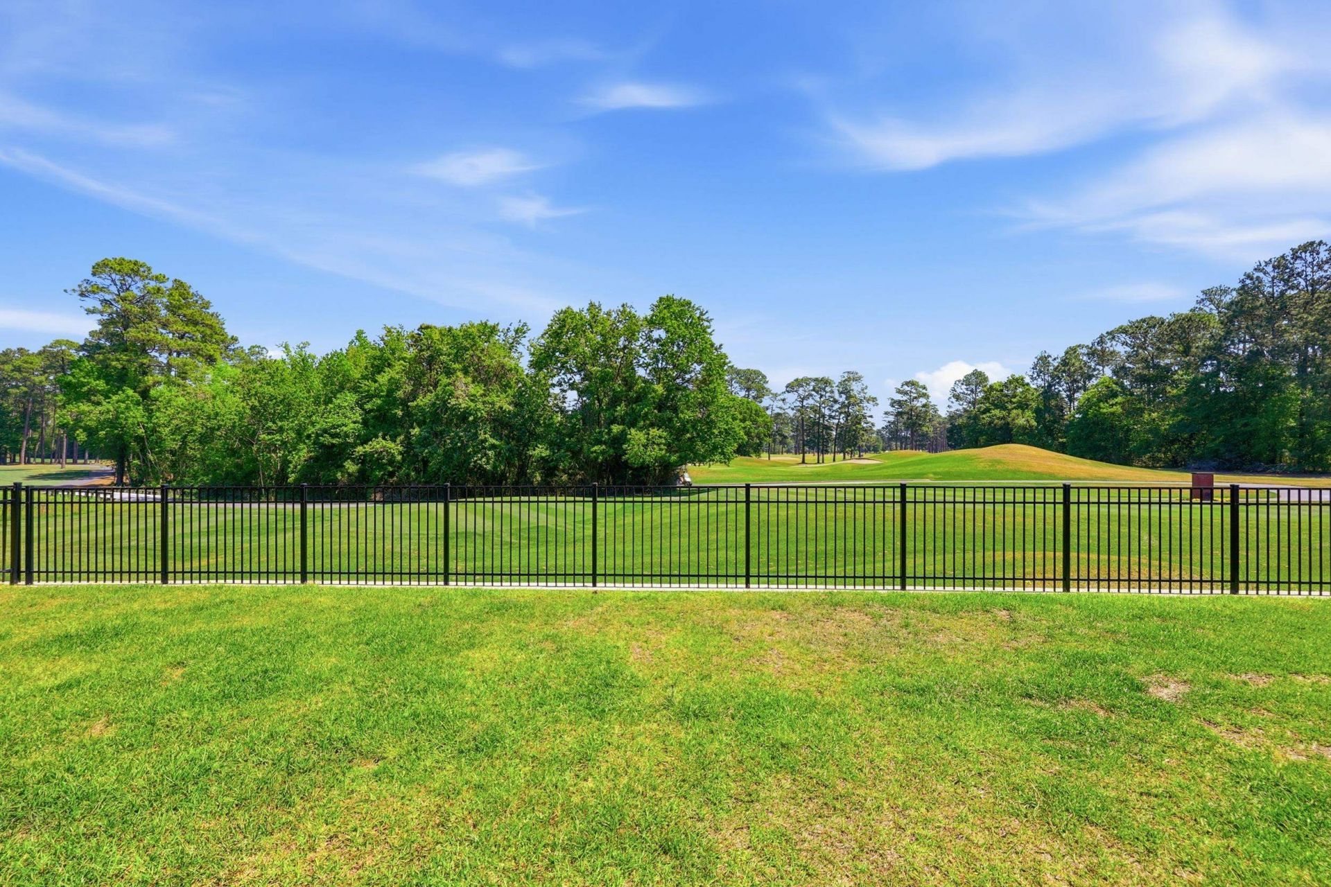 1618 Wood Stork Dr.  Photo 45