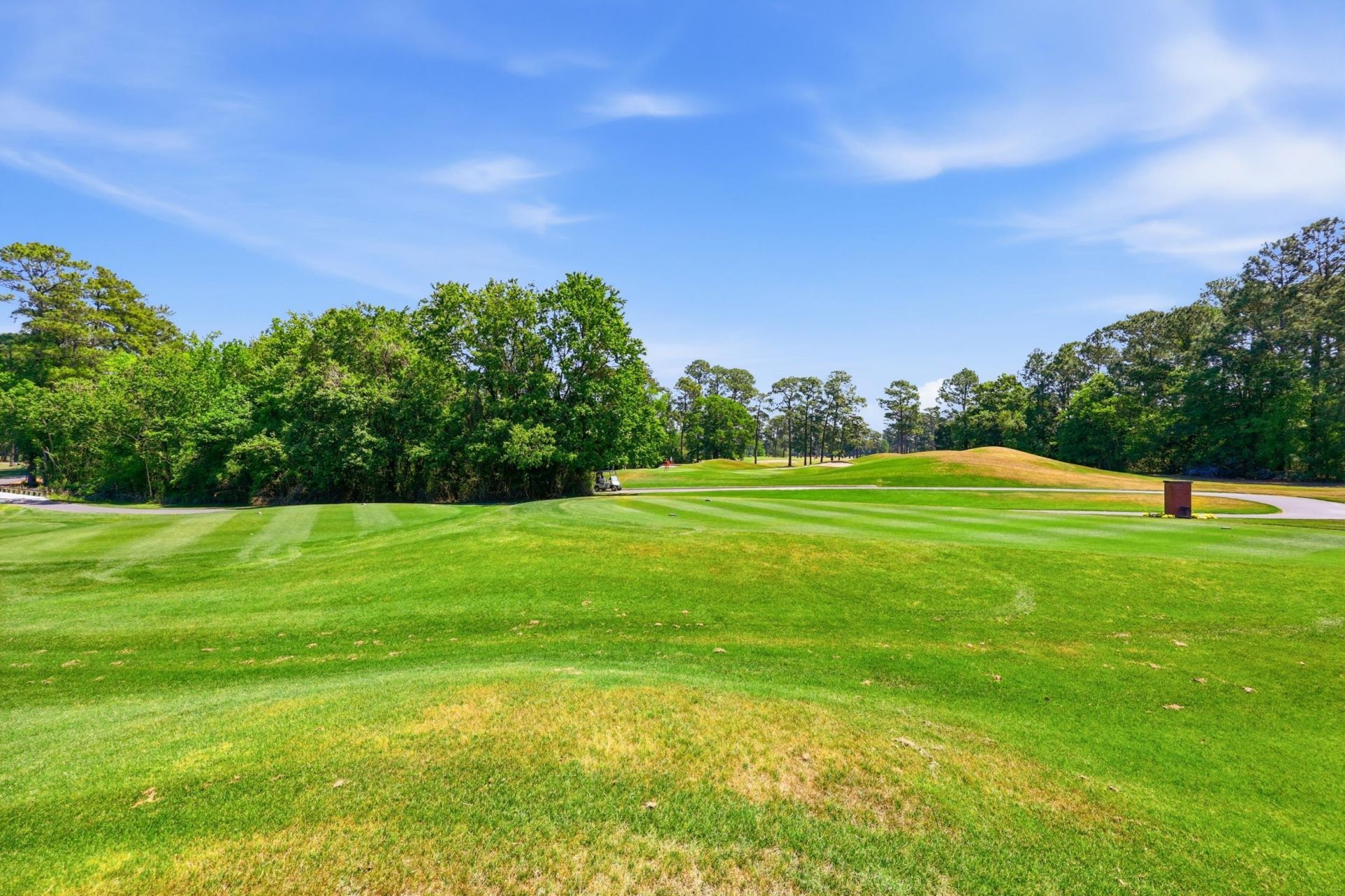 1618 Wood Stork Dr.  Photo 47