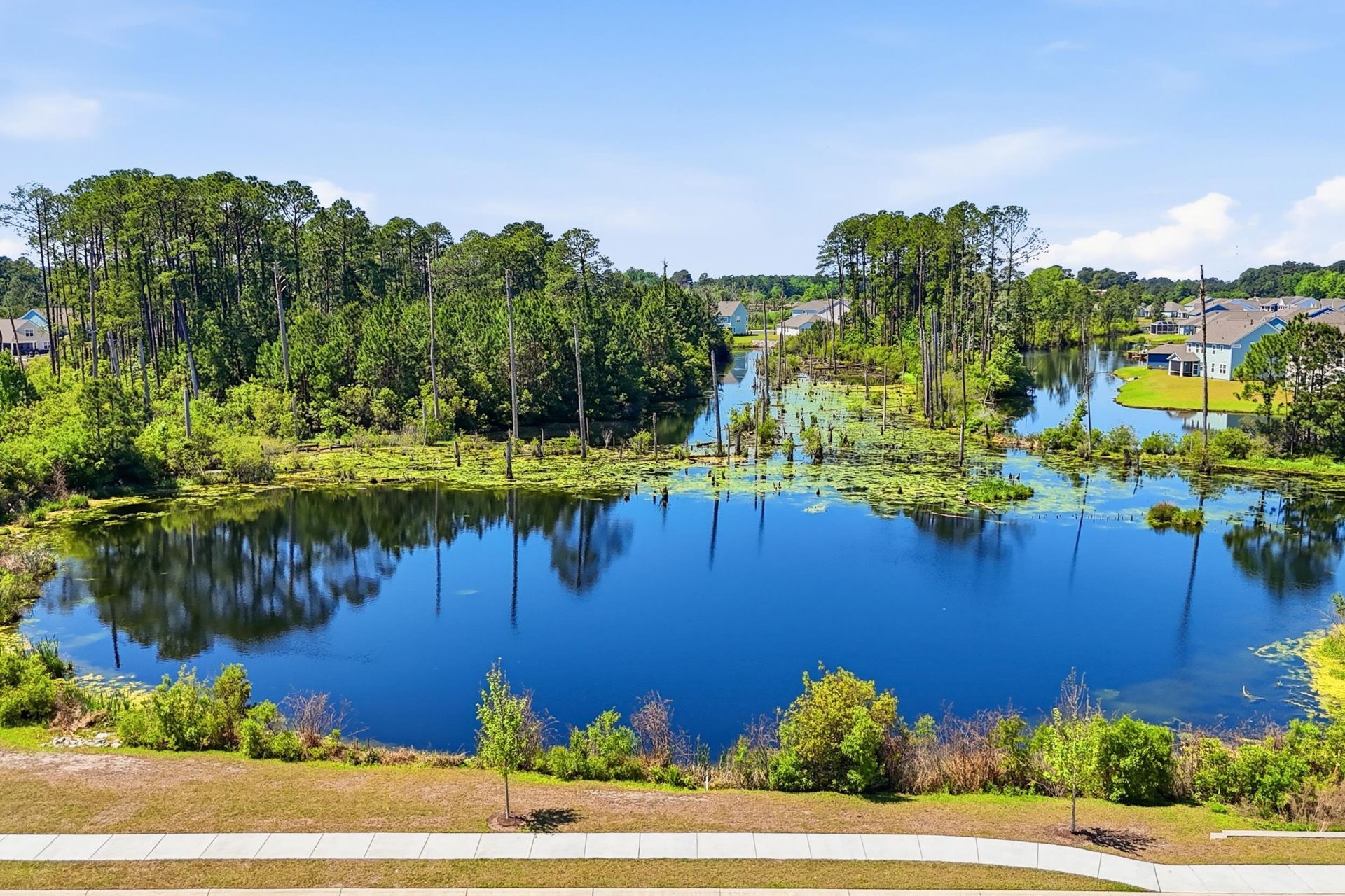 1618 Wood Stork Dr.  Photo 52