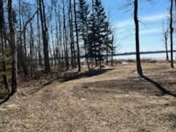 42585 N Little Turtle Road , Marcell, MN 56657