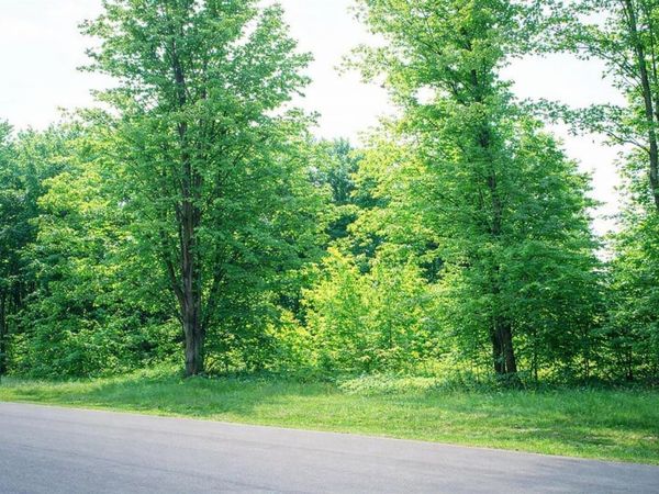 8886 Cedar Creek Drive, Petoskey, MI 49770