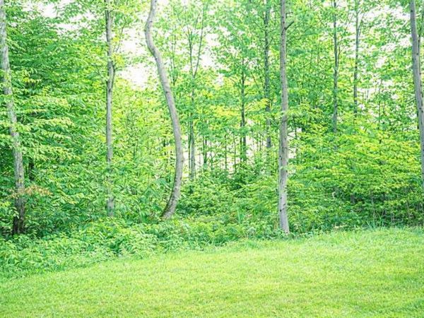 8922 Cedar Creek Drive, Petoskey, MI 49770