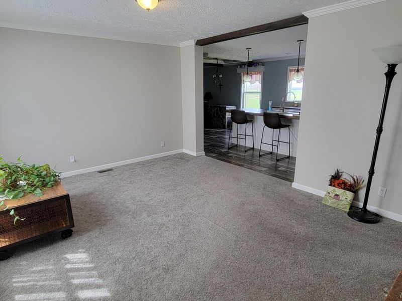 2890 Willow Neave Road, Brooksville, KY 41004 Photo 14