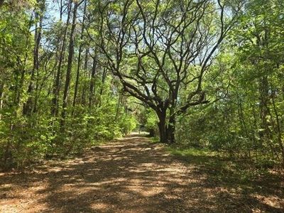 0 Bears Bluff, Unit Lot B, Wadmalaw Island, SC 29487
