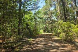 0 Bears Bluff photo 4