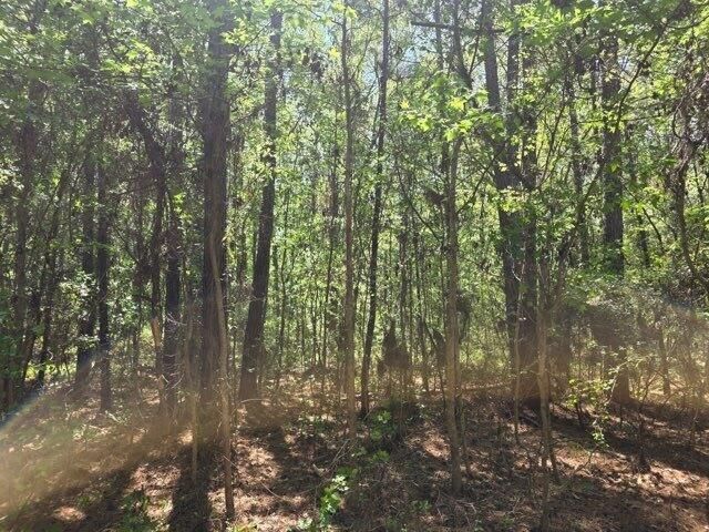 0 Bears Bluff Photo 5