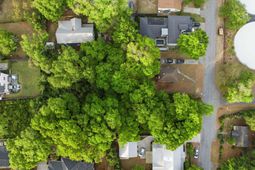 0 Morrison Street photo 4