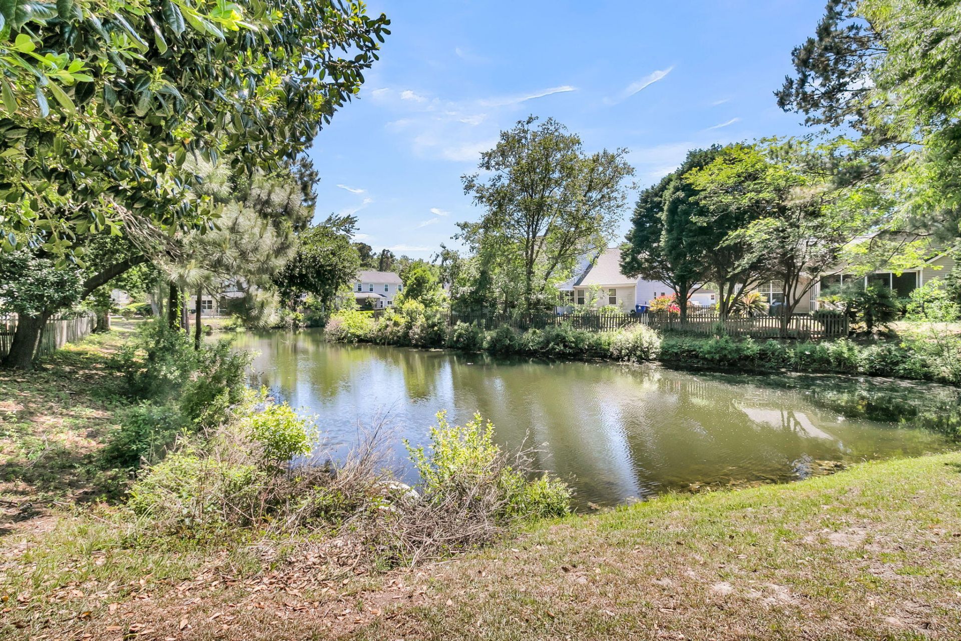 3464 Mulligan Drive Photo 4