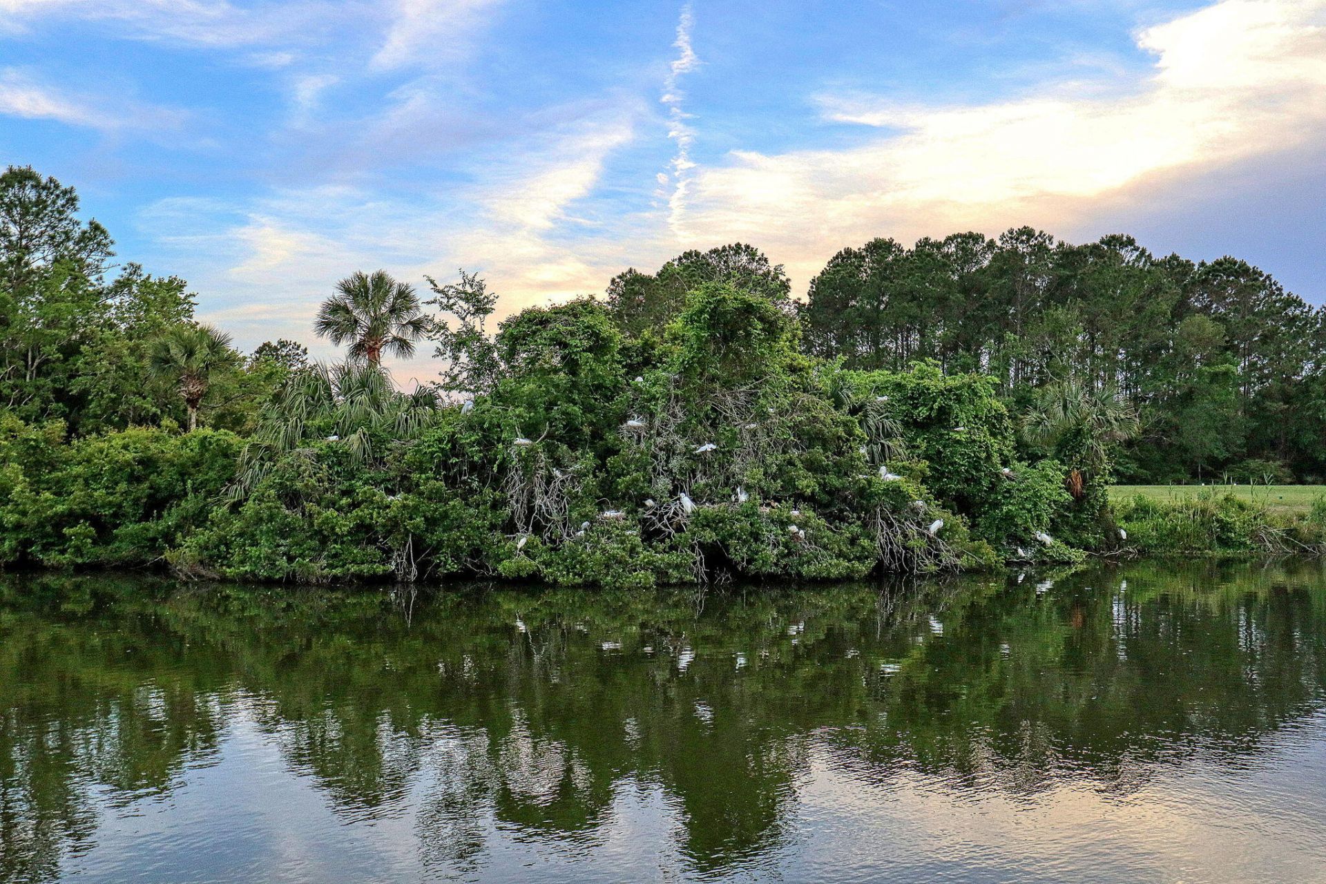 3464 Mulligan Drive Photo 44