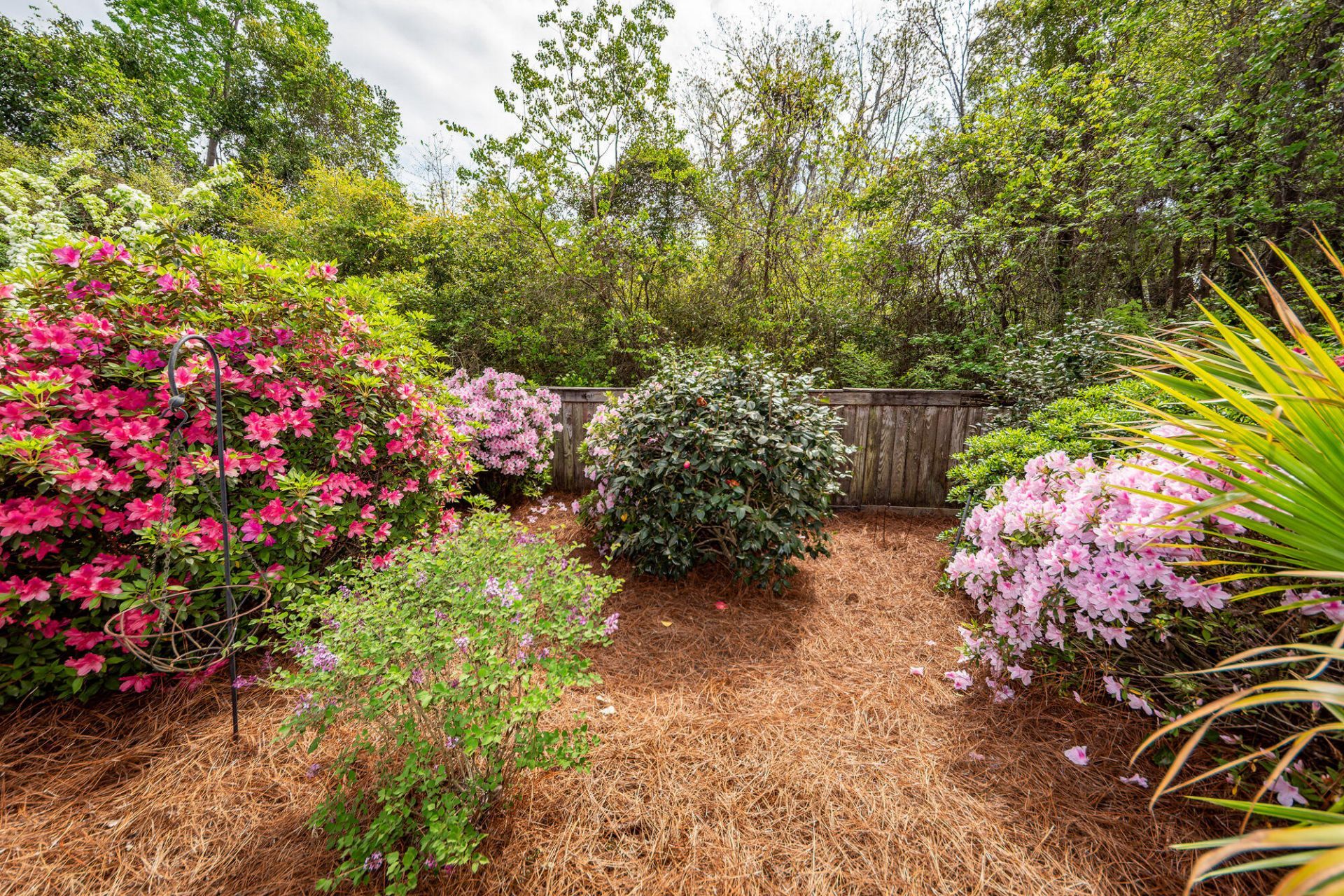 599 Two Mile Run Photo 56