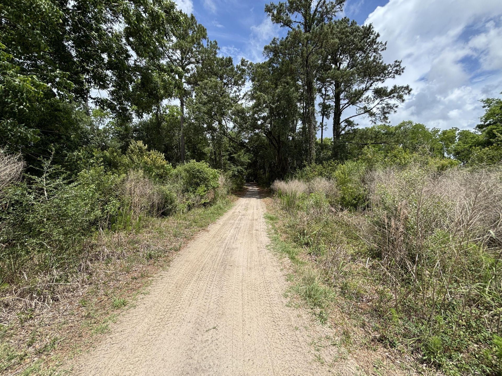 599 Two Mile Run Photo 73