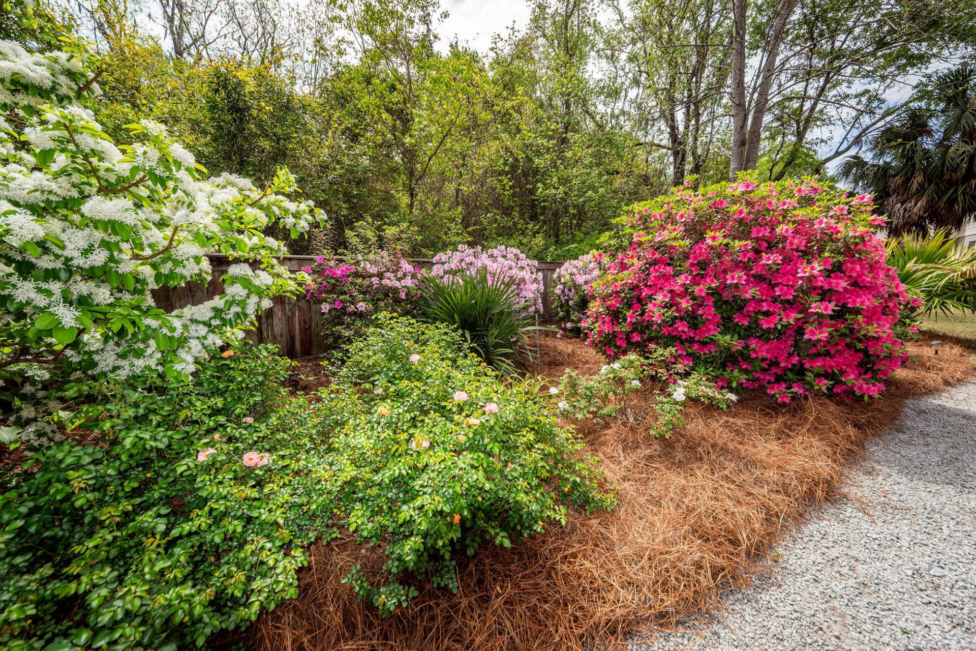 599 Two Mile Run Photo 9